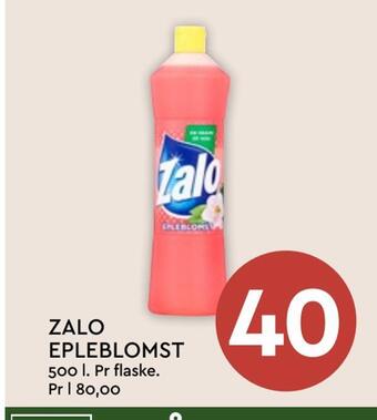 Coop Mega Zalo epleblomst tilbud