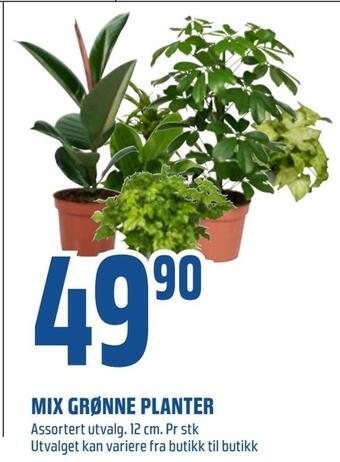 Coop Obs Mix grønne planter tilbud
