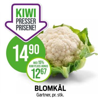 Kiwi Gartner blomkål tilbud