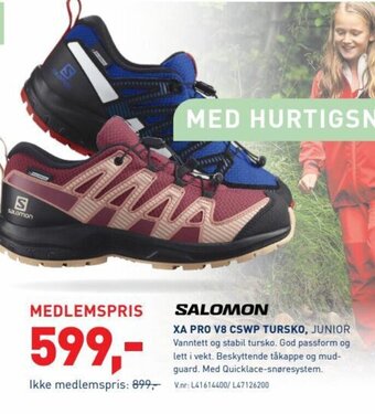 Intersport SALOMON XA PRO V8 CSWP TURSKO, JUNIOR tilbud