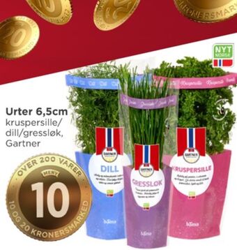 Meny Gartner krydderurt tilbud