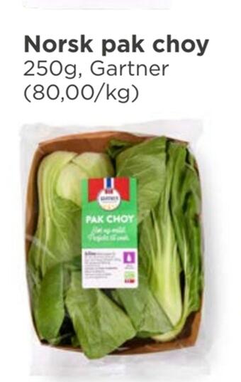 Meny Norsk pak choy tilbud