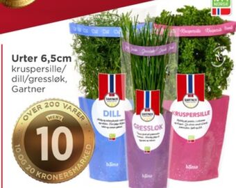 Meny Gartner krydderurt tilbud