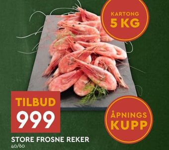 STORE FROSNE REKER 40/60