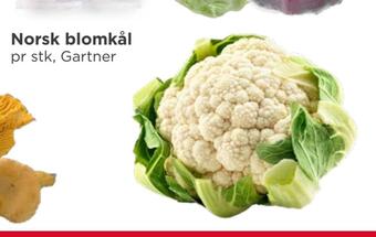 Meny Norsk blomkål tilbud