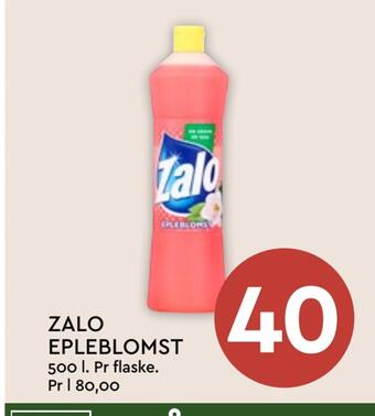 Coop Mega Zalo epleblomst tilbud