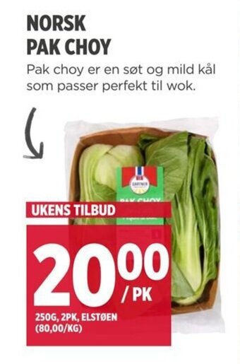 Meny NORSK PAK CHOY tilbud
