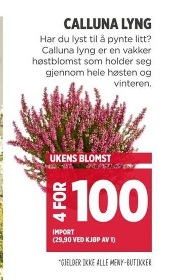 Meny CALLUNA LYNG tilbud