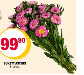 Coop Extra BUKETT ASTERS tilbud