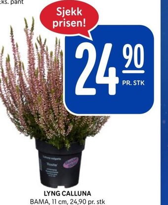 Rema 1000 LYNG CALLUNA tilbud