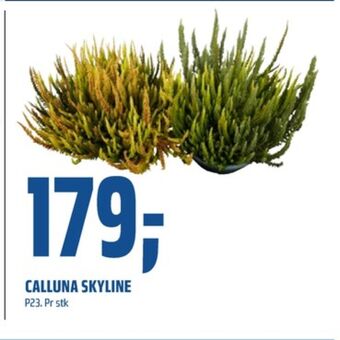 Coop Obs Ukjent plante tilbud