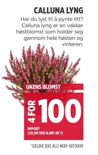 Meny Calluna lyng tilbud