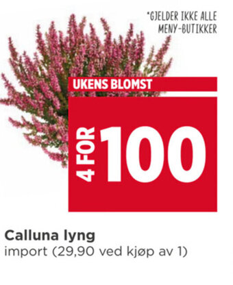 Meny Calluna lyng tilbud
