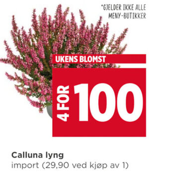 Meny Calluna lyng tilbud