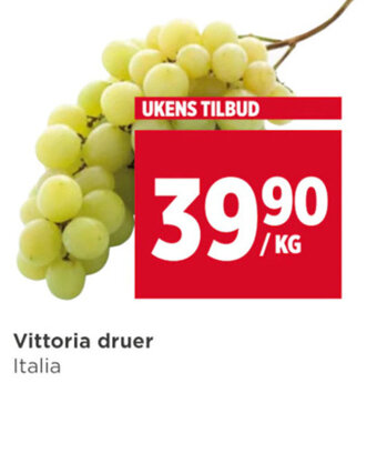 Meny Vittoria druer tilbud