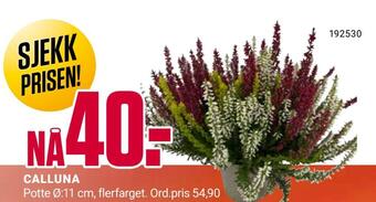 Europris Calluna tilbud