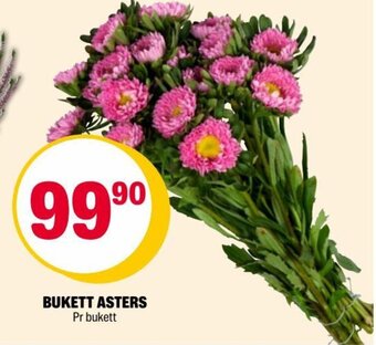 Coop Extra BUKETT ASTERS tilbud