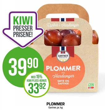Kiwi PLOMMER tilbud