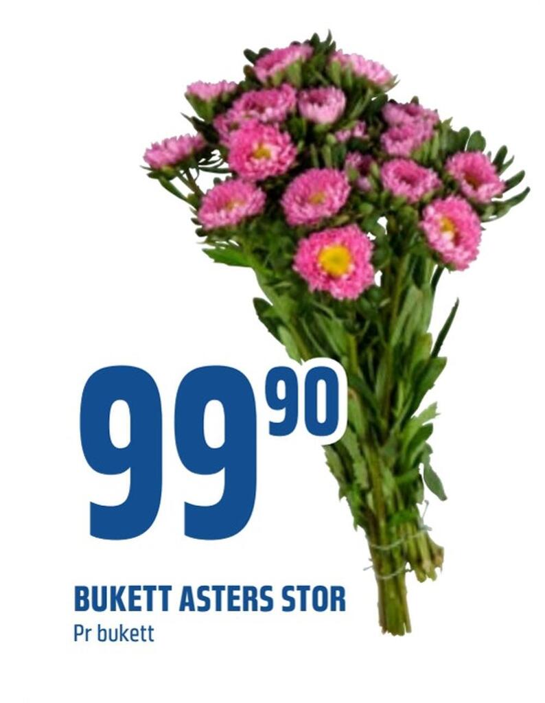 Coop Obs Bukett asters stor tilbud