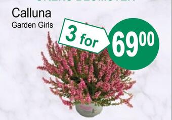 Joker Calluna tilbud