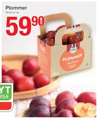 Eurospar Gartner plommer tilbud