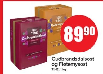 Tine gudbrandsdalsost