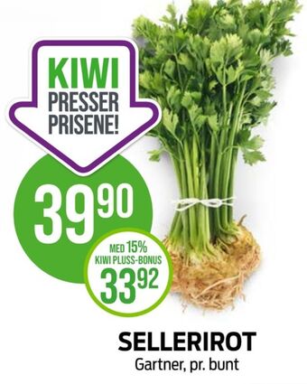 Kiwi Gartner sellerirot tilbud
