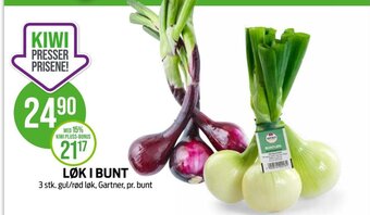 LØK I BUNT