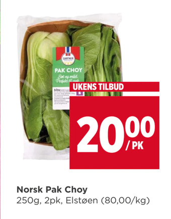 Meny Norsk pak choy tilbud