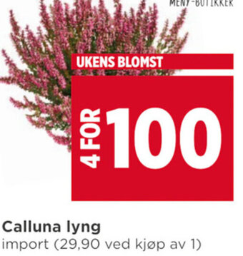 Meny Calluna lyng tilbud