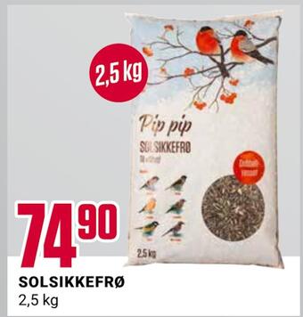 Europris Solsikkefrø tilbud