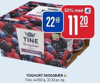Rema 1000 YOGHURT SKOGSBÆR Tine tilbud