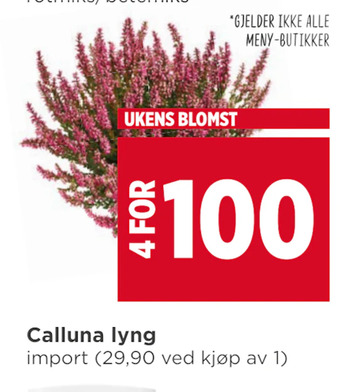 Meny Calluna lyng tilbud