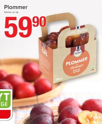 Eurospar Gartner plommer tilbud