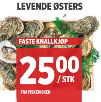 Meny LEVENDE ØSTERS tilbud