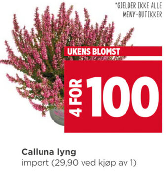 Meny Calluna lyng tilbud