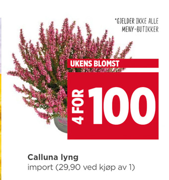 Meny Calluna lyng tilbud