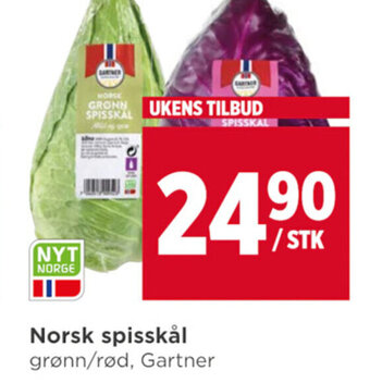 Meny Norsk spisskål tilbud