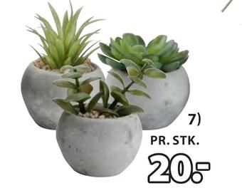 JYSK Bror kunstig plante tilbud