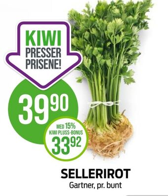 Kiwi Gartner sellerirot tilbud