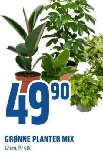 Coop Obs GRØNNE PLANTER MIX tilbud
