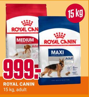 Europris Royal canin tilbud