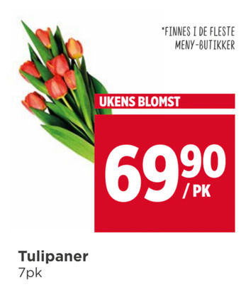 Meny Tulipaner tilbud