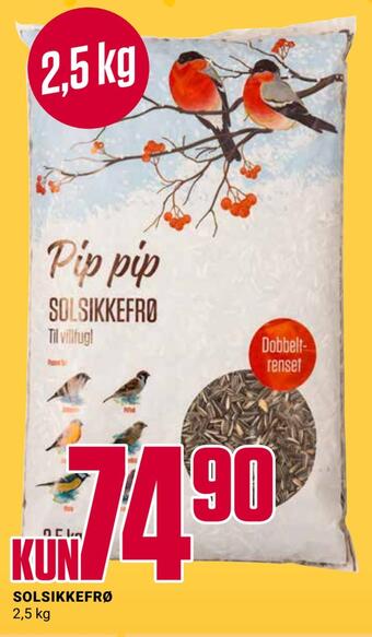 Europris Solsikkefrø tilbud