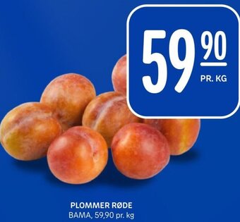 Rema 1000 PLOMMER RØDE tilbud