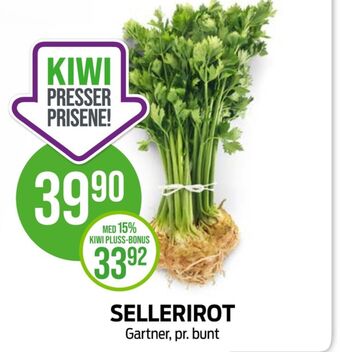 Kiwi Gartner sellerirot tilbud