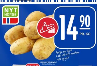 Rema 1000 Bama poteter tilbud