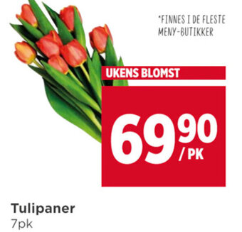 Meny Tulipaner 7pk tilbud
