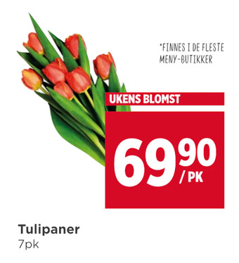 Meny Tulipaner tilbud