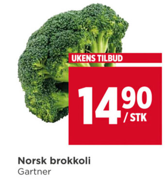 Meny Norsk brokkoli Gartner tilbud